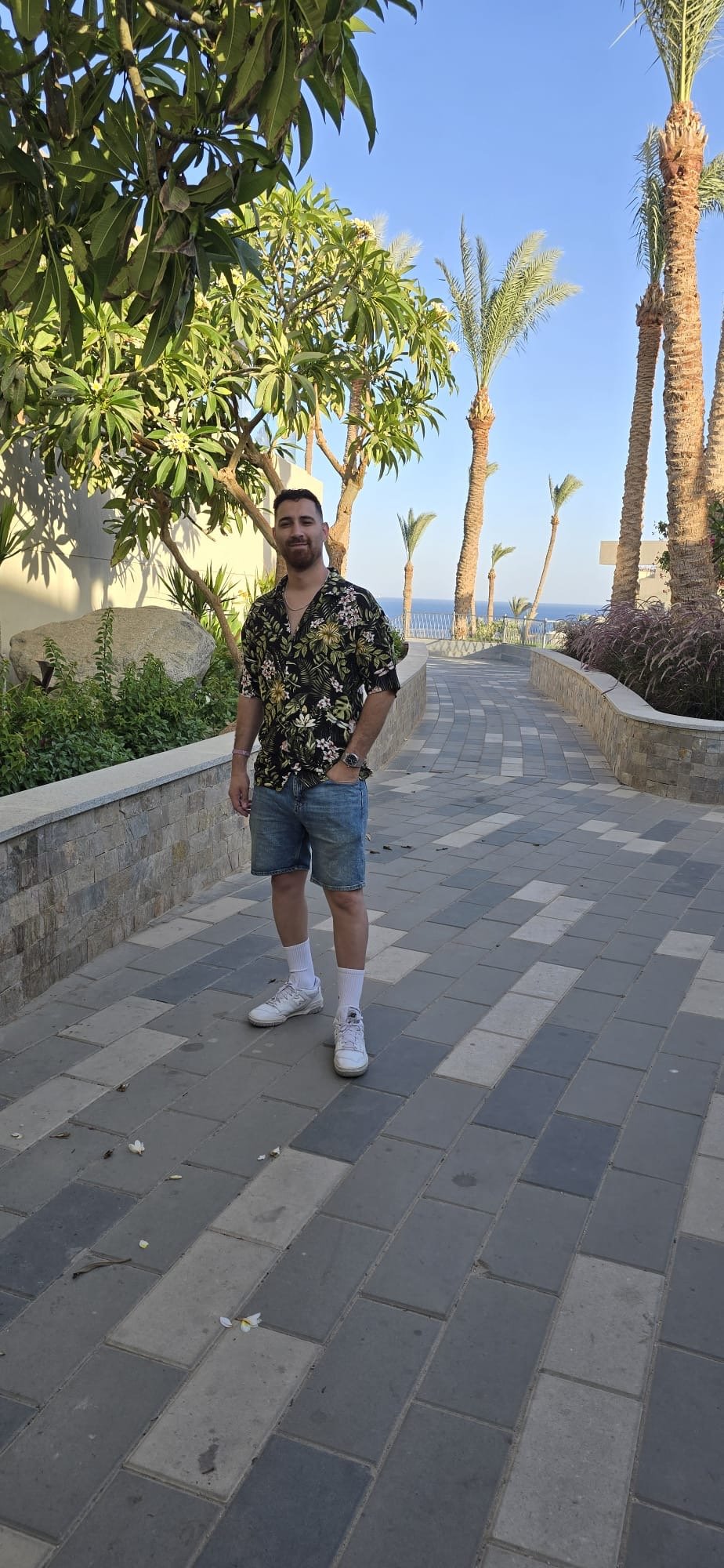 محمد سعيد